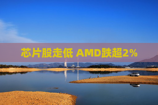 芯片股走低 AMD跌超2%