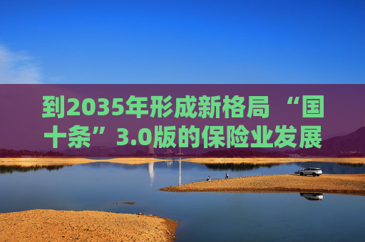 到2035年形成新格局 “国十条”3.0版的保险业发展线路图来了  第1张