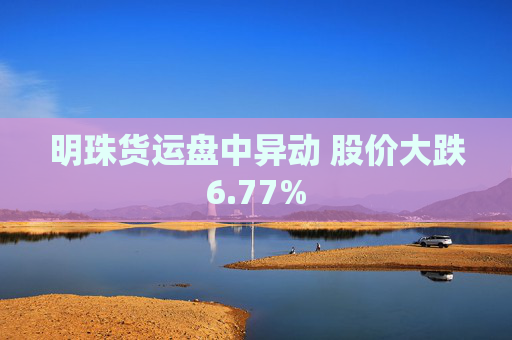 明珠货运盘中异动 股价大跌6.77%