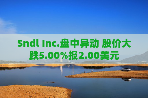 Sndl Inc.盘中异动 股价大跌5.00%报2.00美元