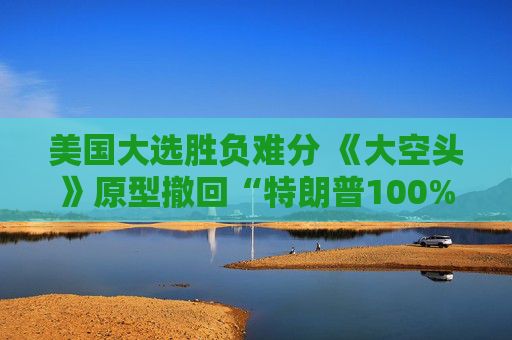 美国大选胜负难分 《大空头》原型撤回“特朗普100%胜选”预言  第1张