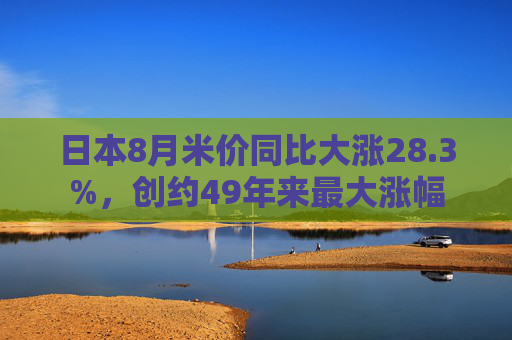 日本8月米价同比大涨28.3%，创约49年来最大涨幅