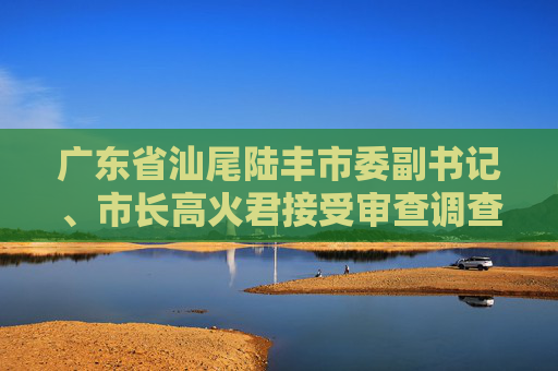 广东省汕尾陆丰市委副书记、市长高火君接受审查调查  第1张