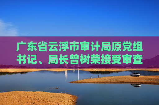 广东省云浮市审计局原党组书记、局长曾树荣接受审查调查