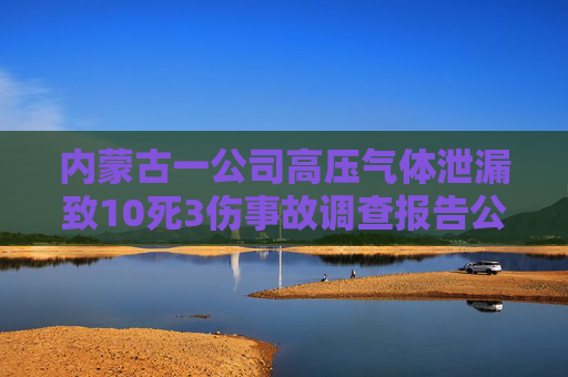 内蒙古一公司高压气体泄漏致10死3伤事故调查报告公布，22人被问责