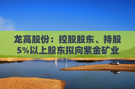 龙高股份：控股股东、持股5%以上股东拟向紫金矿业转让部分股份