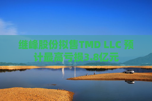 继峰股份拟售TMD LLC 预计最高亏损3.8亿元  第1张