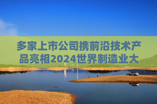 多家上市公司携前沿技术产品亮相2024世界制造业大会  第1张