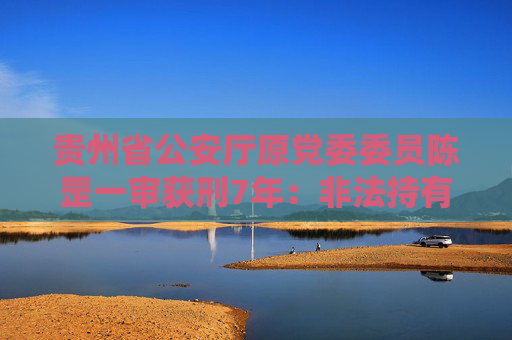 贵州省公安厅原党委委员陈罡一审获刑7年：非法持有5支枪支及732枚弹药  第1张