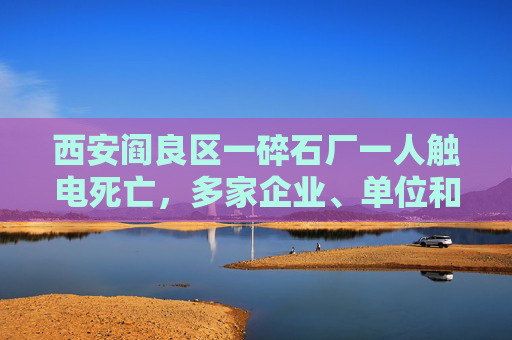 西安阎良区一碎石厂一人触电死亡，多家企业、单位和个人被处理  第1张