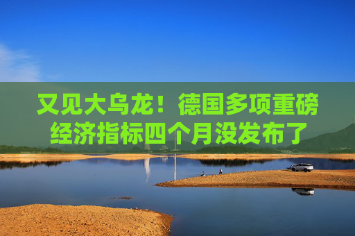 又见大乌龙！德国多项重磅经济指标四个月没发布了  第1张