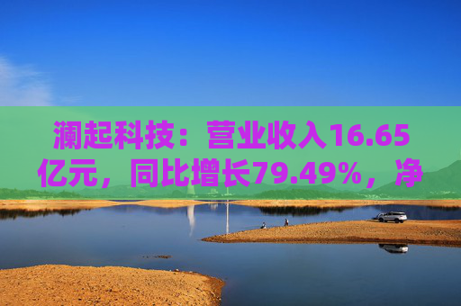 澜起科技：营业收入16.65亿元，同比增长79.49%，净利润5.93亿元  第1张