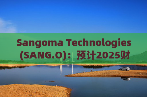 Sangoma Technologies (SANG.O)：预计2025财年收入在2.5亿至2.6亿美元之间  第1张