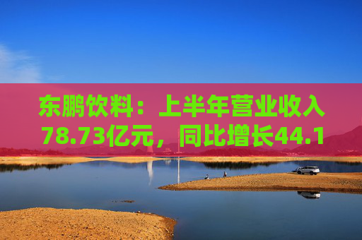 东鹏饮料：上半年营业收入78.73亿元，同比增长44.19%  第1张