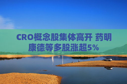 CRO概念股集体高开 药明康德等多股涨超5%