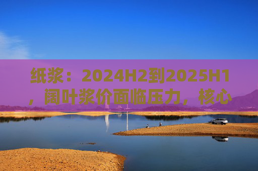 纸浆：2024H2到2025H1，阔叶浆价面临压力，核心因素是供给