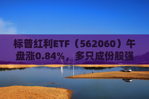 标普红利ETF（562060）午盘涨0.84%，多只成份股强劲上涨！机构：坚守真红利和优质成长板块  第1张