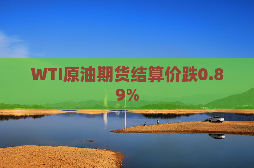 WTI原油期货结算价跌0.89%  第1张