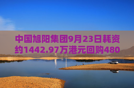 中国旭阳集团9月23日耗资约1442.97万港元回购480万股  第1张