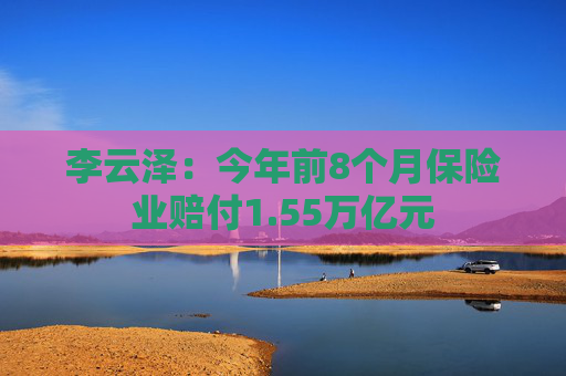 李云泽：今年前8个月保险业赔付1.55万亿元  第1张