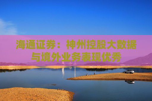 海通证券：神州控股大数据与境外业务表现优秀  第1张