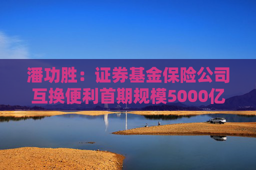 潘功胜：证券基金保险公司互换便利首期规模5000亿，获取的资金只能用于投资股市  第1张