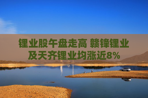 锂业股午盘走高 赣锋锂业及天齐锂业均涨近8%