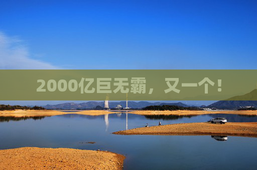 2000亿巨无霸，又一个！