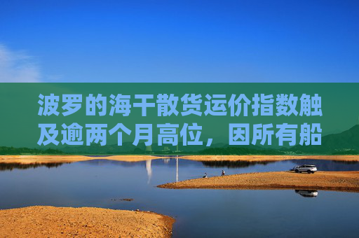 波罗的海干散货运价指数触及逾两个月高位，因所有船型运价均走高  第1张