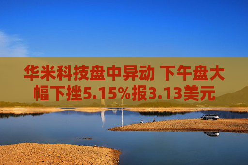 华米科技盘中异动 下午盘大幅下挫5.15%报3.13美元  第1张