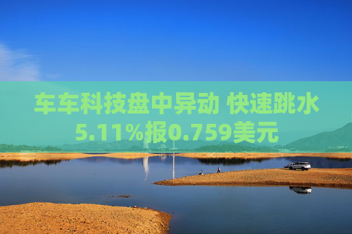 车车科技盘中异动 快速跳水5.11%报0.759美元