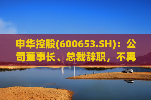 申华控股(600653.SH)：公司董事长、总裁辞职，不再担任公司任何职务