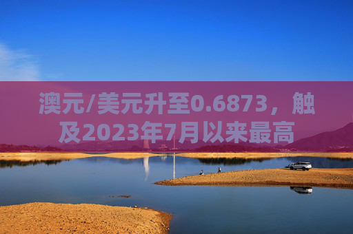 澳元/美元升至0.6873，触及2023年7月以来最高