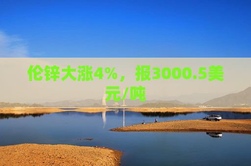 伦锌大涨4%，报3000.5美元/吨  第1张