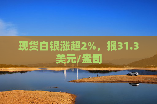 现货白银涨超2%，报31.3美元/盎司  第1张