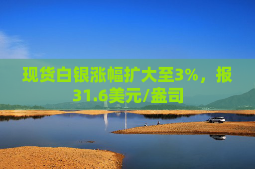 现货白银涨幅扩大至3%，报31.6美元/盎司  第1张