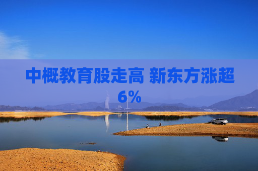 中概教育股走高 新东方涨超6%