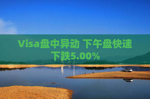 Visa盘中异动 下午盘快速下跌5.00%  第1张