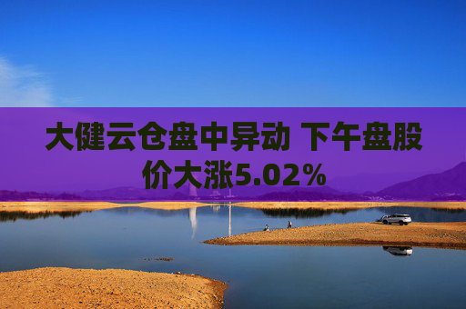 大健云仓盘中异动 下午盘股价大涨5.02%  第1张