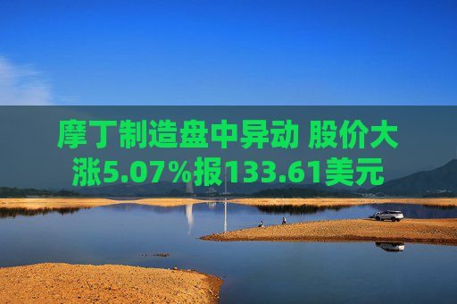 摩丁制造盘中异动 股价大涨5.07%报133.61美元  第1张