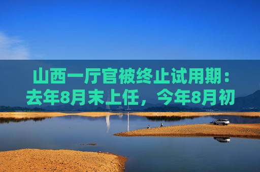 山西一厅官被终止试用期：去年8月末上任，今年8月初被查