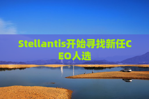 Stellantis开始寻找新任CEO人选