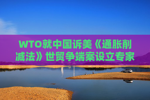 WTO就中国诉美《通胀削减法》世贸争端案设立专家组