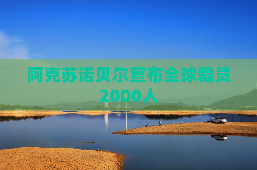 阿克苏诺贝尔宣布全球裁员2000人