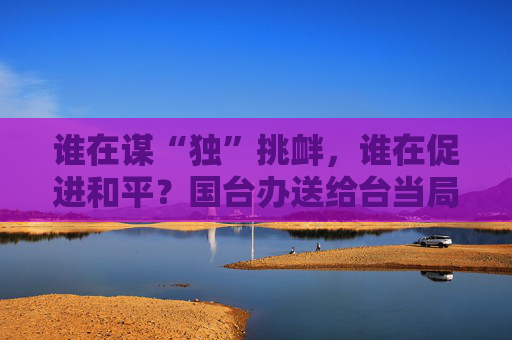 谁在谋“独”挑衅，谁在促进和平？国台办送给台当局两句话  第1张