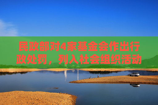 民政部对4家基金会作出行政处罚，列入社会组织活动异常名录  第1张