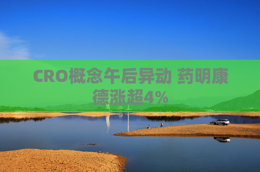 CRO概念午后异动 药明康德涨超4%