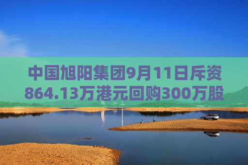 中国旭阳集团9月11日斥资864.13万港元回购300万股  第1张