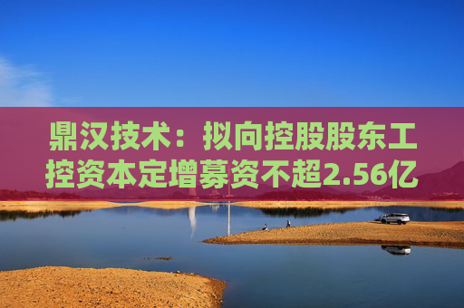 鼎汉技术：拟向控股股东工控资本定增募资不超2.56亿元，全部用于补充流动资金