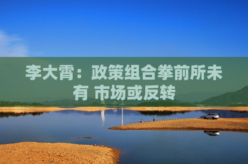 李大霄：政策组合拳前所未有 市场或反转